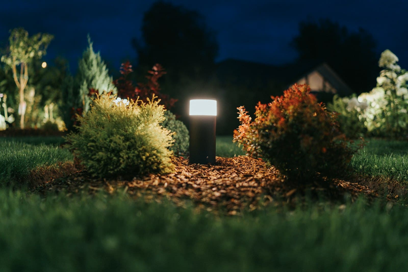 Focos LED de colores iluminando un jardín de noche durante un evento al aire libre